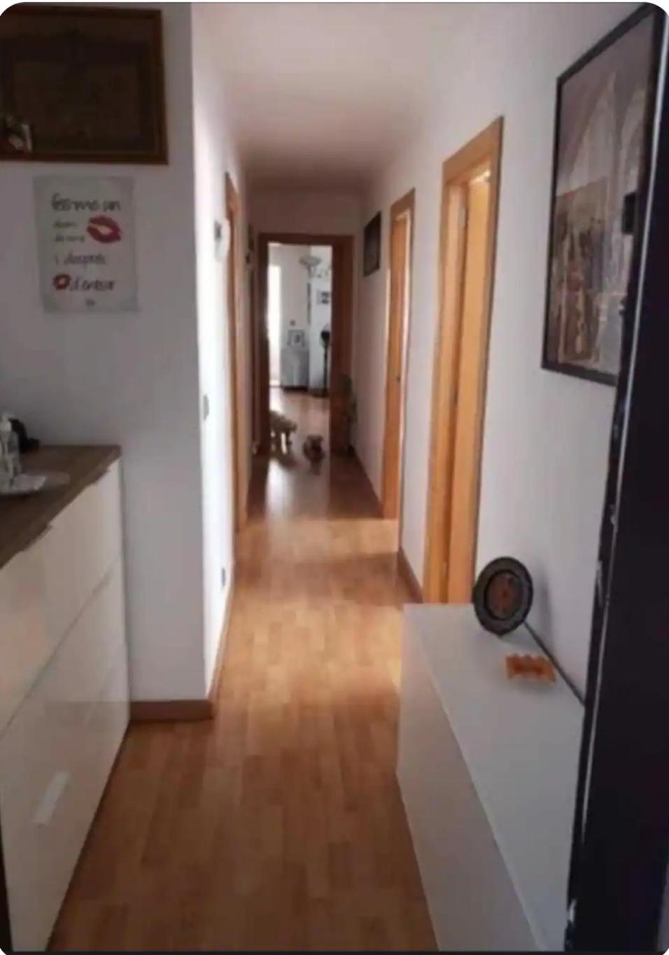 Habitacion Maria Jose Benidorm Exterior foto